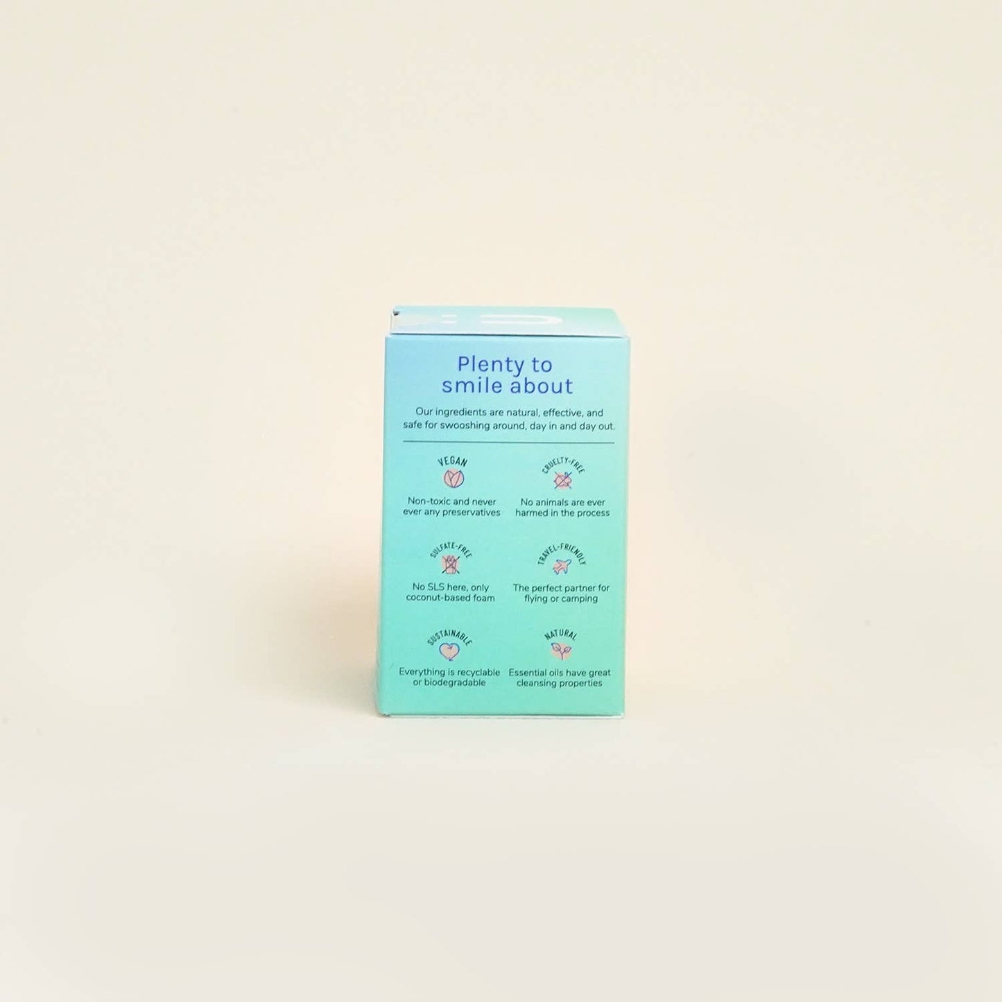 Toothpaste Tablets - Peppermint (plus case)