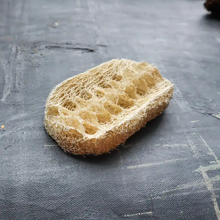 Eco-Friendly Loofah Dishwashing Sponge